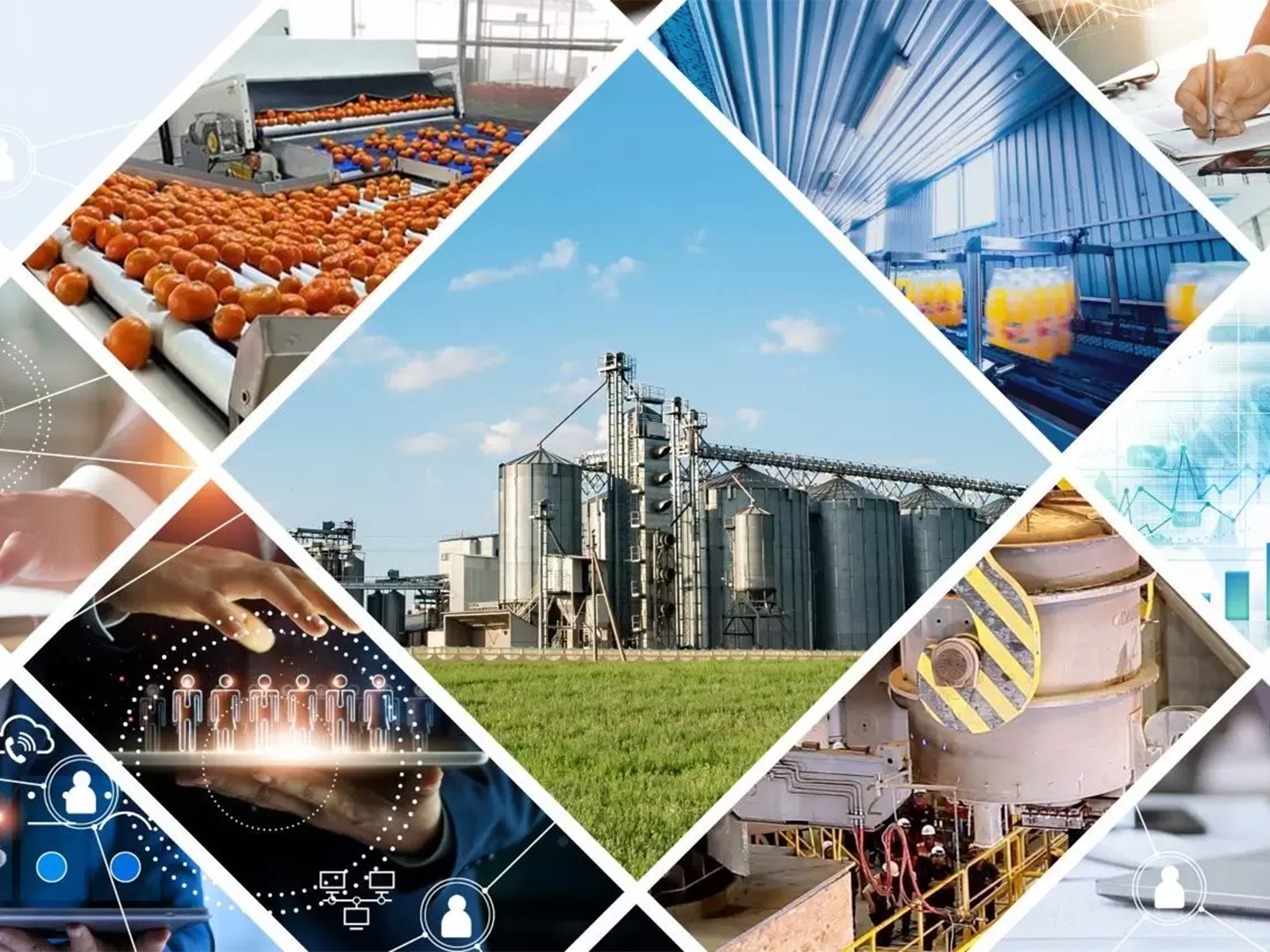 Egyptian Industrial Investment Group investments